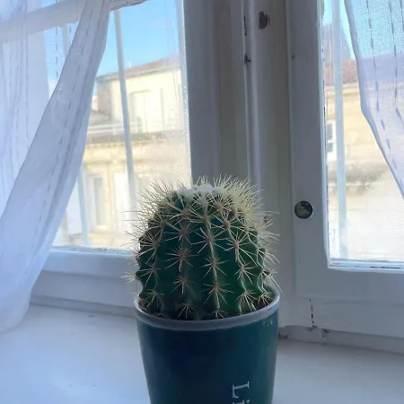 Apartman ღ Marche • Au Coeur De & Spacieux *