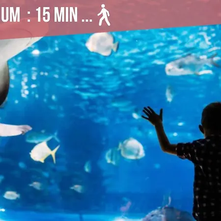 ღ Marche • Au Coeur De & Spacieux Apartman La Rochelle